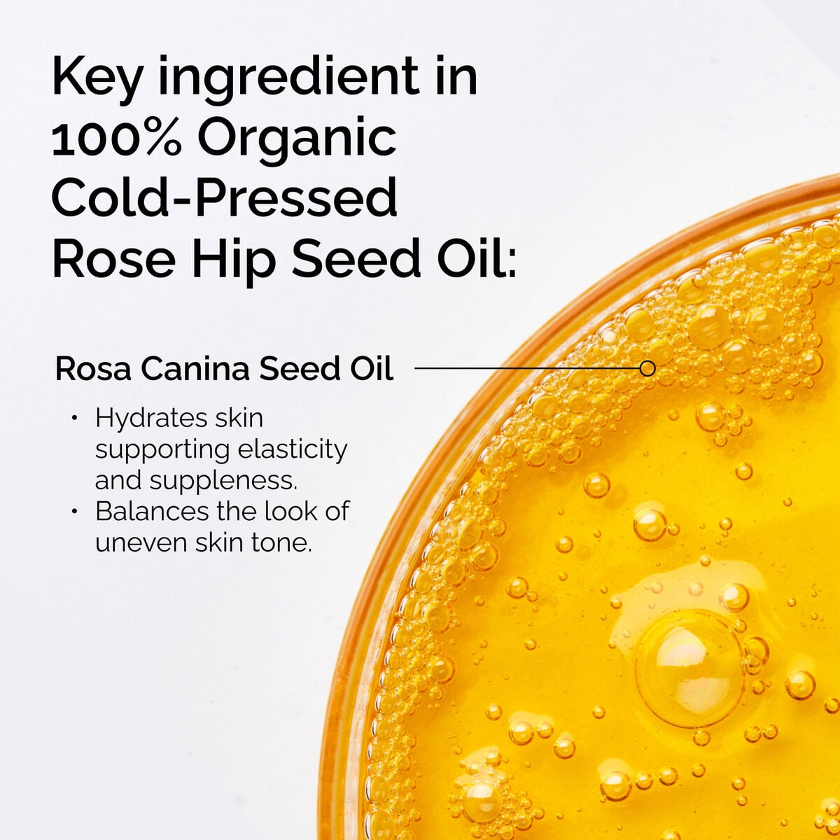 100-organic-cold-pressed-rose-hip-seed-oil-m9 FY25-D41247-ORD-Web-PDP-100-Rose-Hip-Oil-1x1-EN-2.jpg