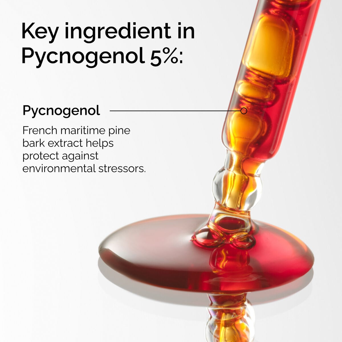 pycnogenol-5-i6 FY25-D41247-ORD-Web-PDP-Pyc-5pct-1x1-EN-2a.jpg