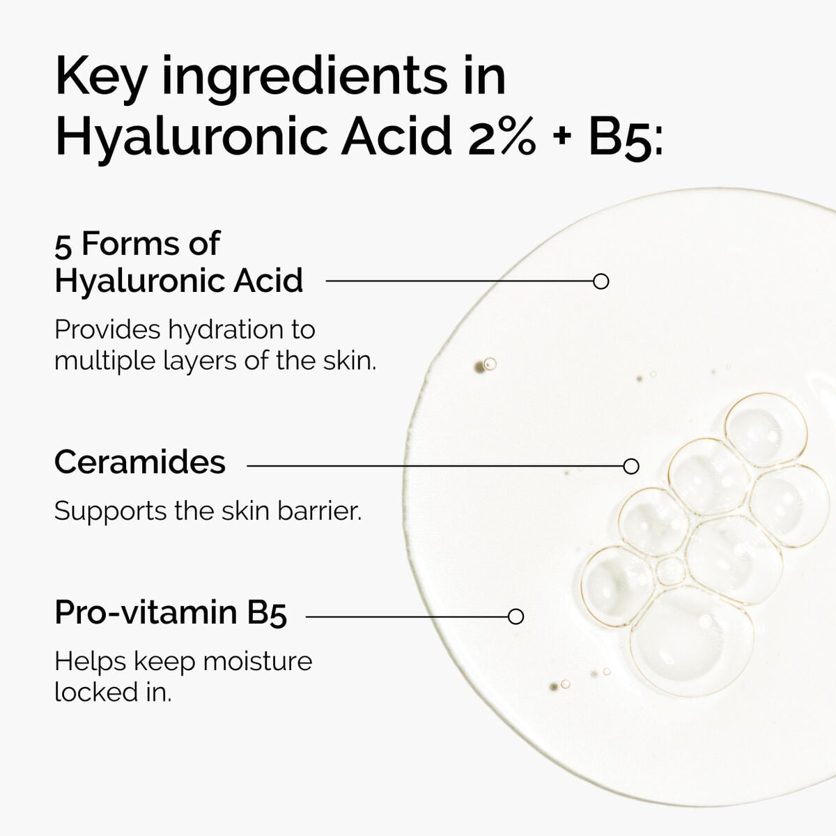 hyaluronic-acid-2-b5-with-ceramides-t8 ord-hyaluronic-acid-2pct-b5-hydrating-serum-ingredients-graphic.jpg