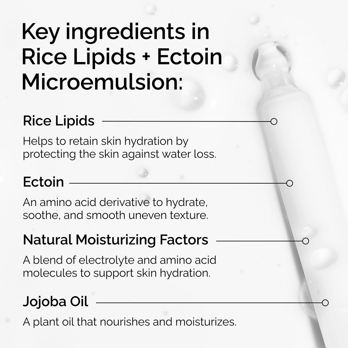rice-lipids-ectoin-microemulsion-l3 ord-rice-lipids-ectoin-microemulsion-key-ingredients.png