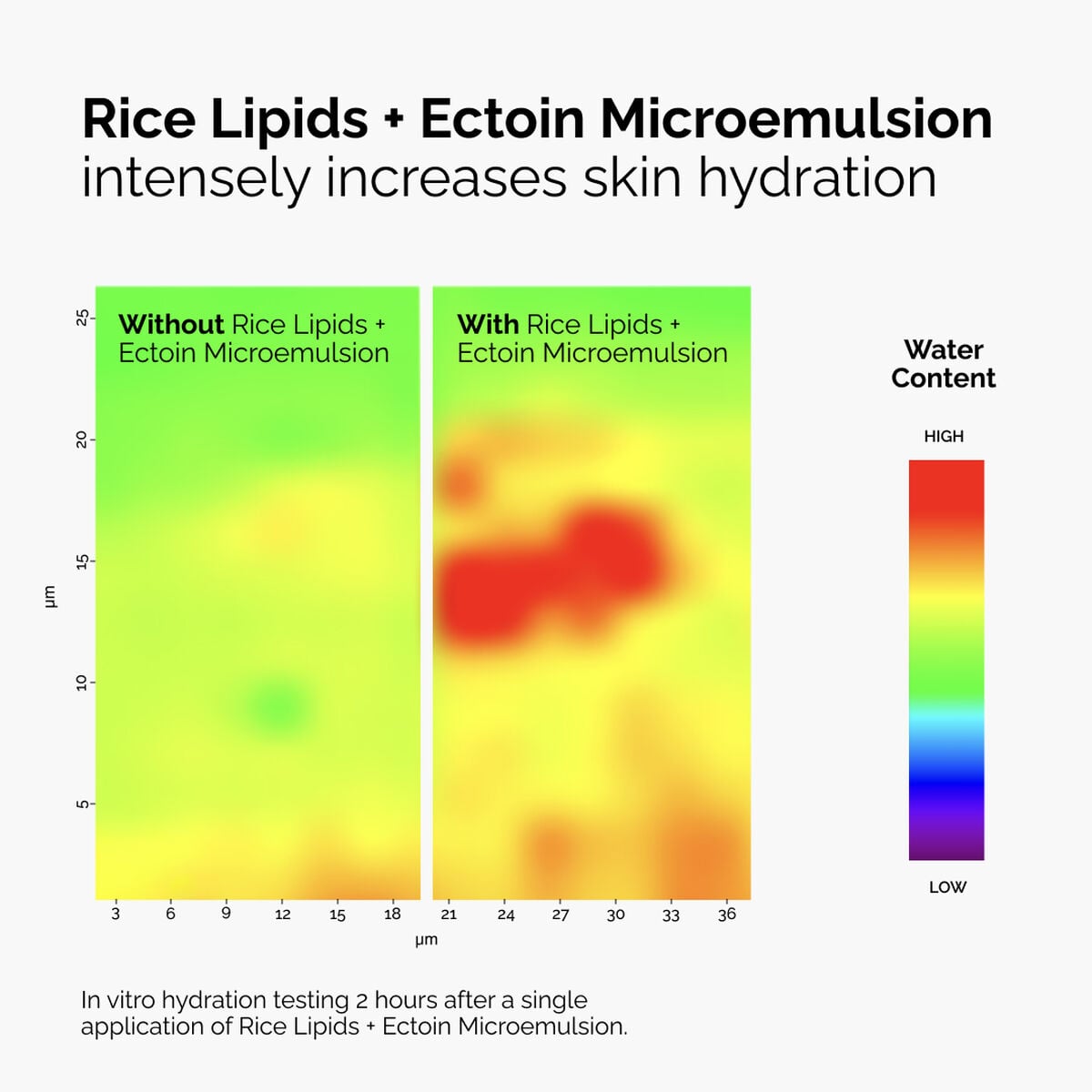 rice-lipids-ectoin-microemulsion-l3 ord-rice-lipids-ectoin-microemulsion-thermal-before-after.jpg